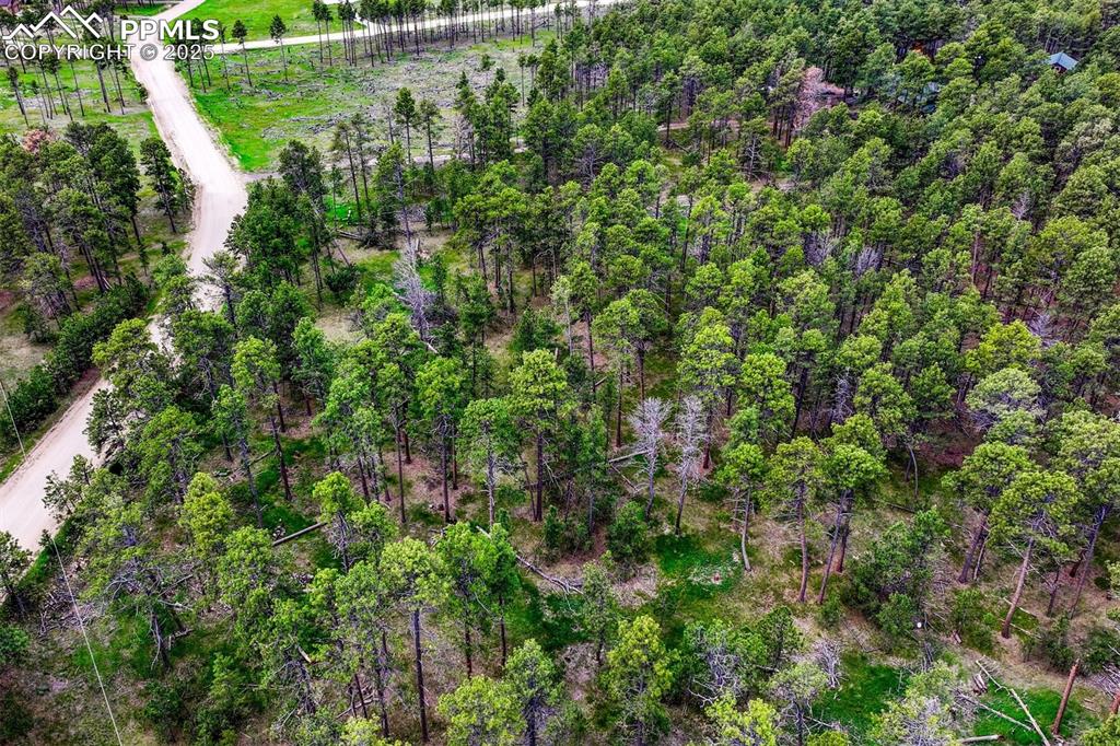 Image 13 of 21: Aerial View