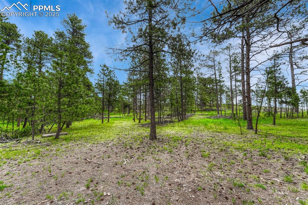 Image 5 of 21: Other