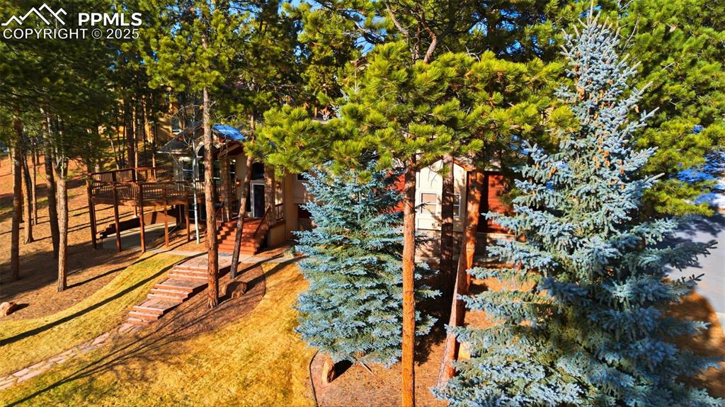 Image 38 of 48: Yard