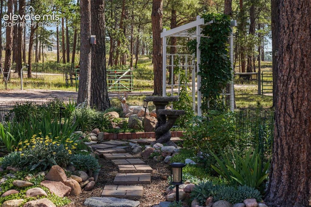 Image 41 of 48: Yard