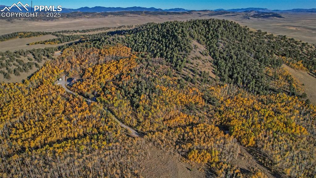 Image 25 of 50: Aerial View