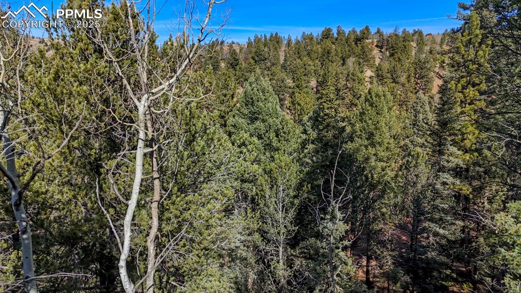 Image 8 of 13: Other