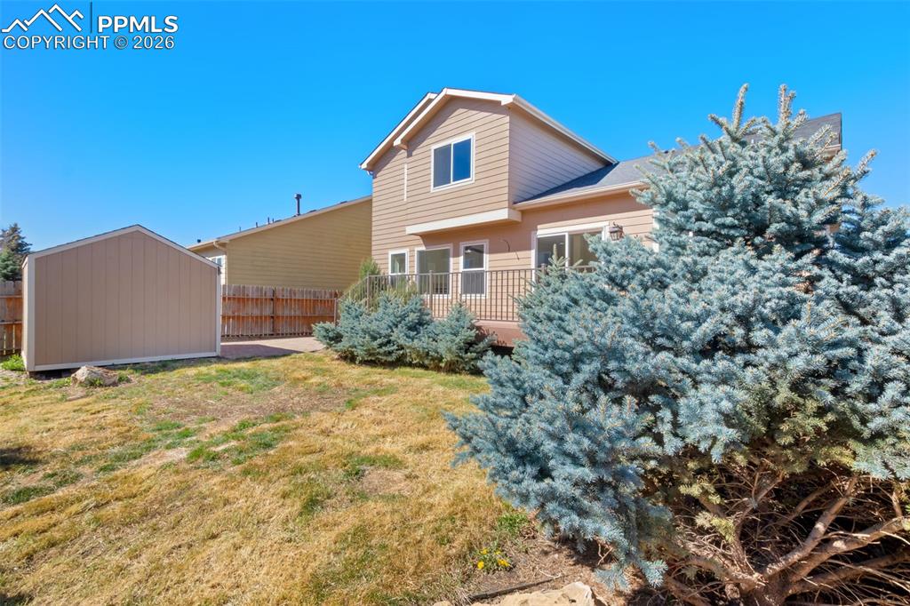 Image 45 of 50: Back of Structure