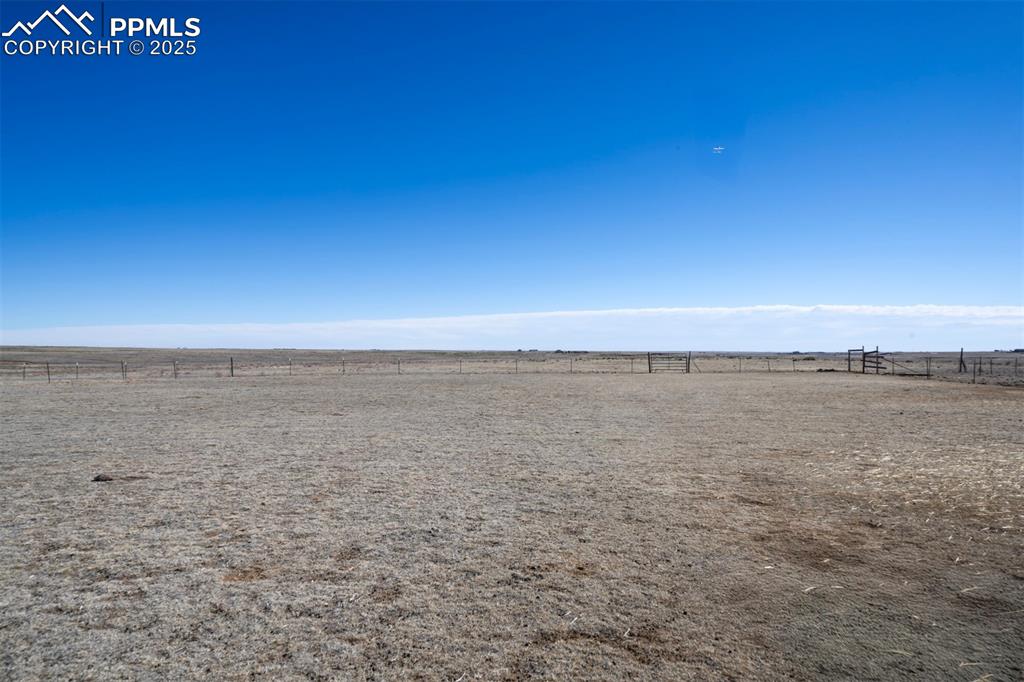 Image 11 of 34: Yard