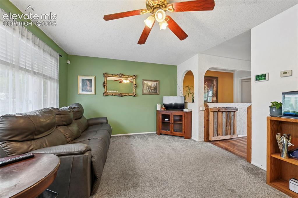 Image 4 of 33: Living area with carpeting and a painted accent wall