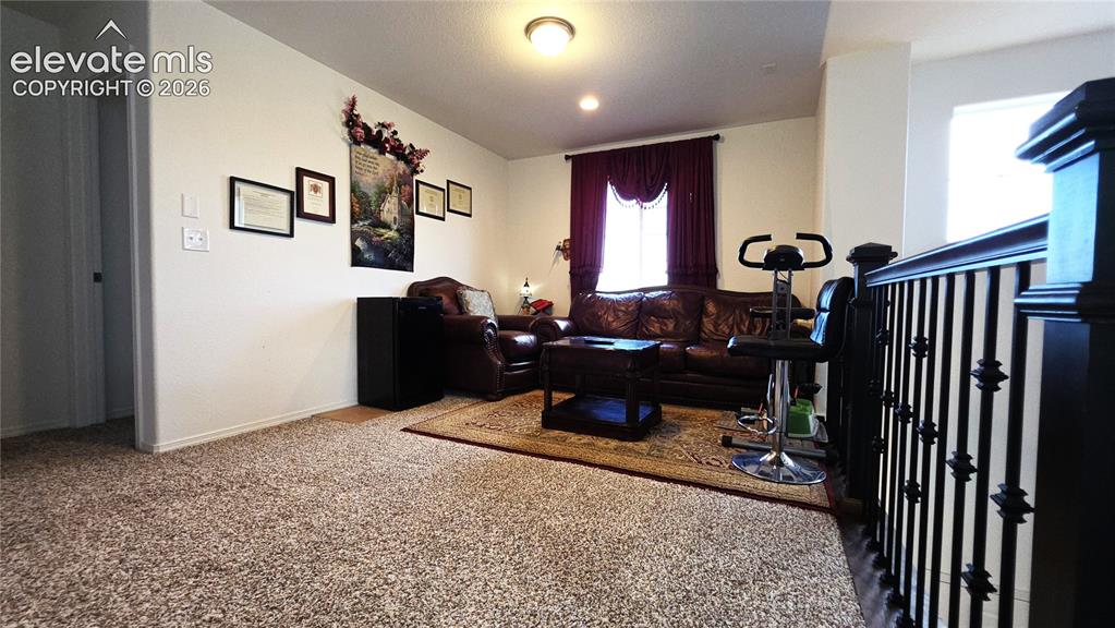 Image 15 of 48: Carpeted flooring extending into a light-filled living area