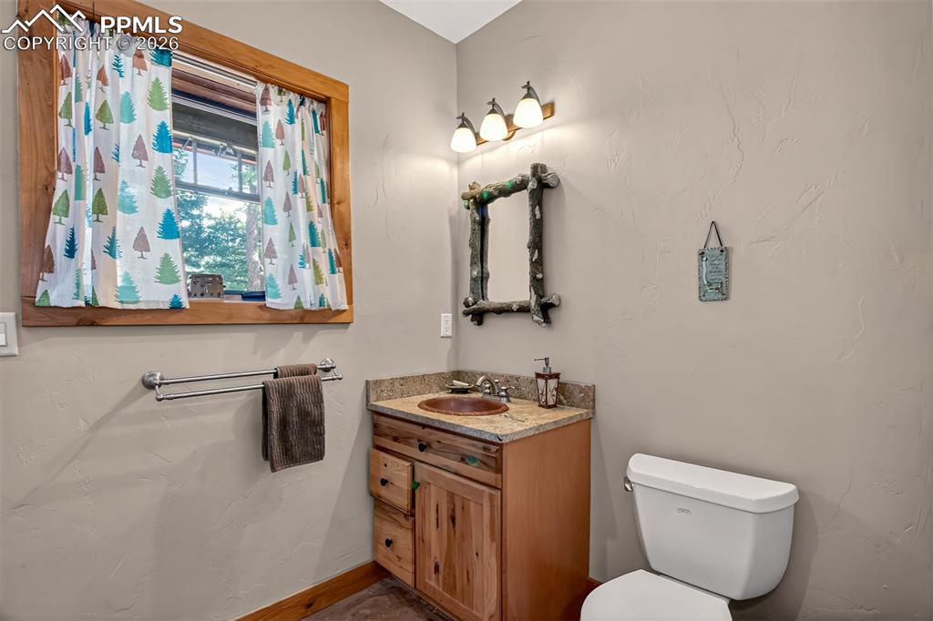 Image 38 of 48: Recreation room on the lower level with a murphy bed, 3/4 bathroom, a pelle