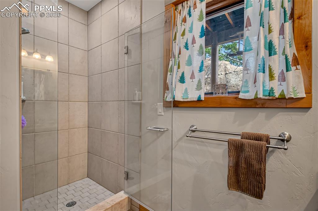 Image 39 of 48: Recreation room on the lower level with a murphy bed, 3/4 bathroom, a pelle