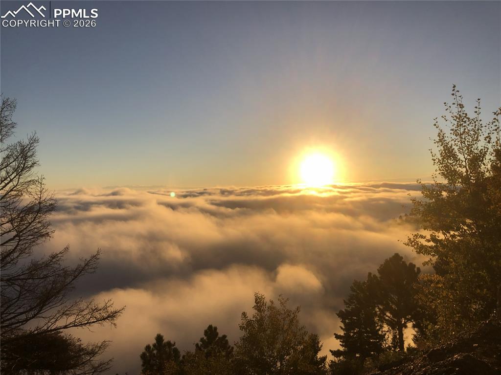 Image 46 of 48: back of home. 
Notice the paved driveway