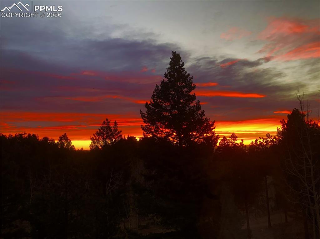 Image 47 of 48: Paved driveway leading to home. Just look at that wrap around deck!!!