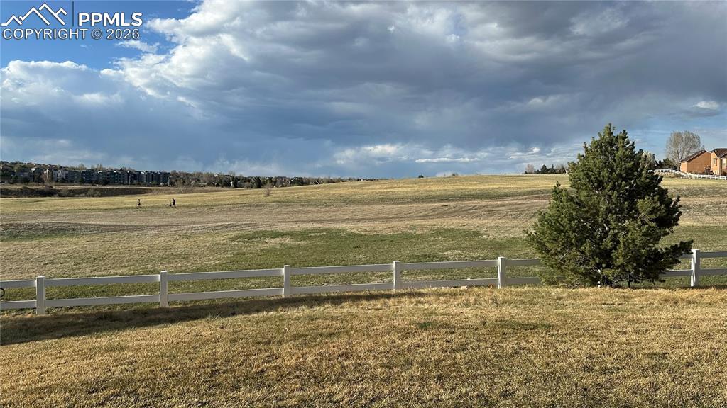 Image 36 of 42: Yard