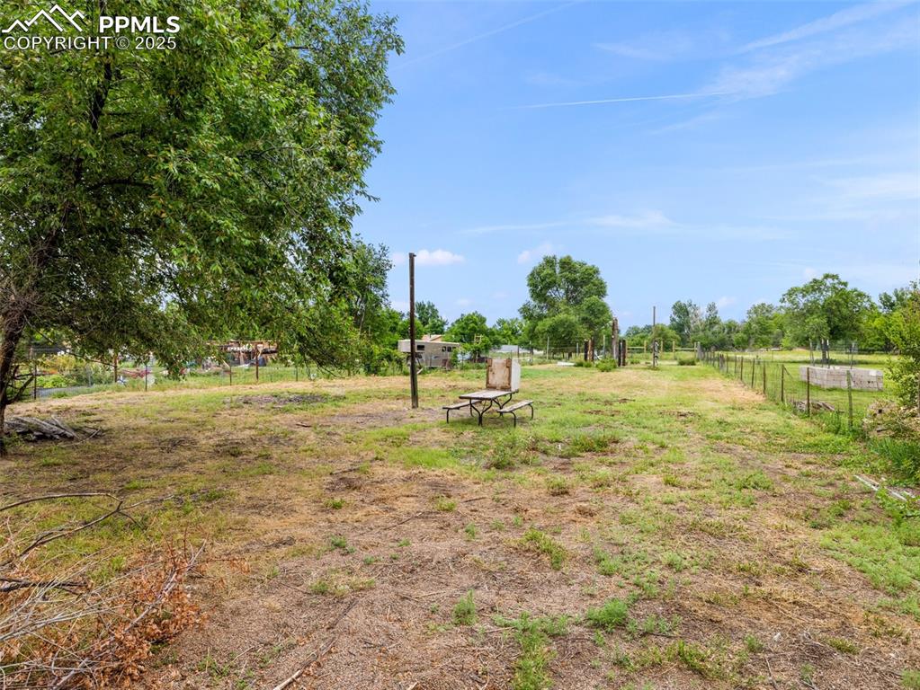 Image 4 of 21: Yard