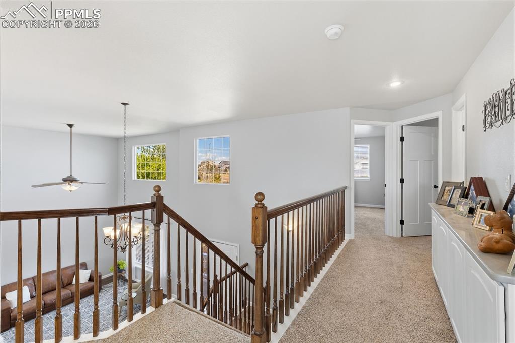 Image 19 of 36: Other