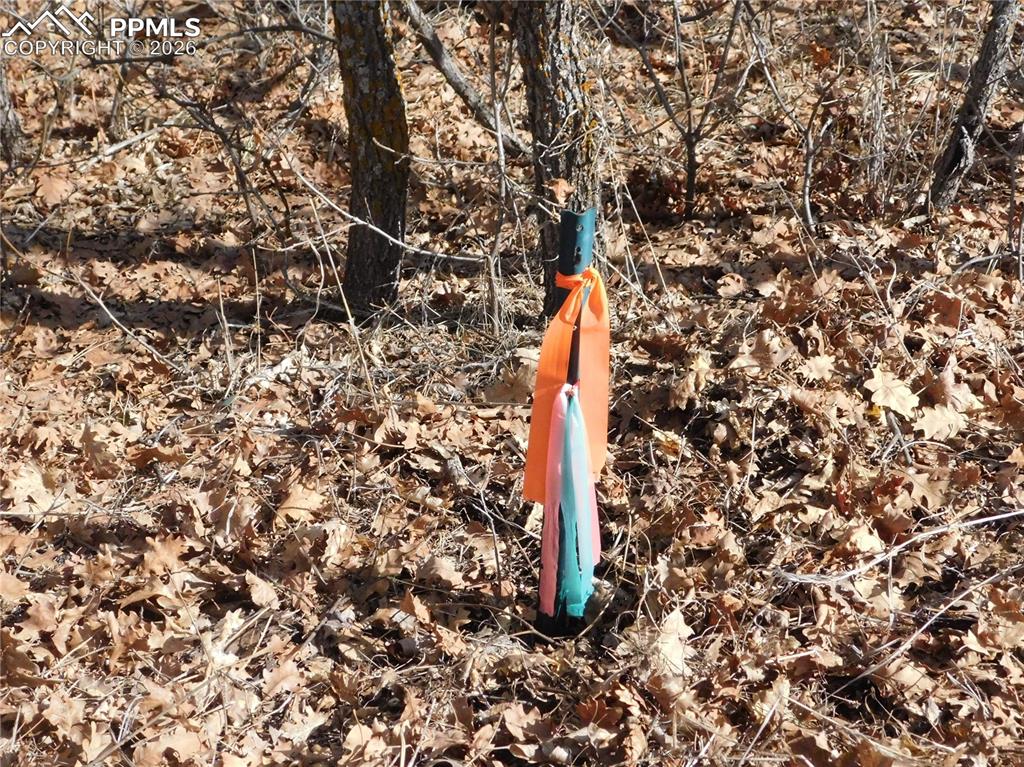 Image 8 of 9: No Description Available