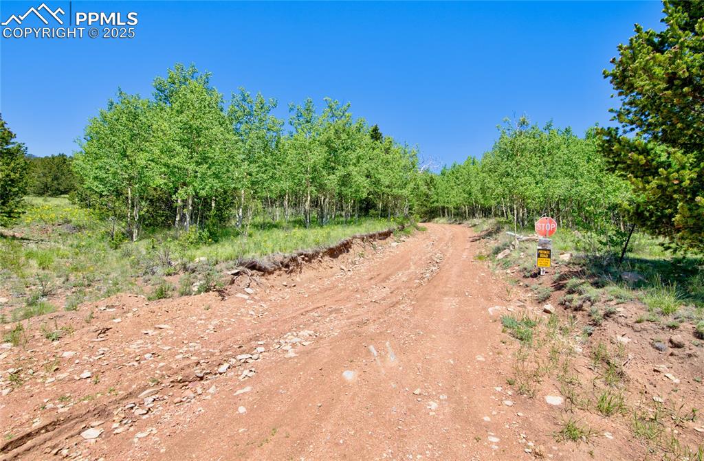 Image 11 of 31: Community