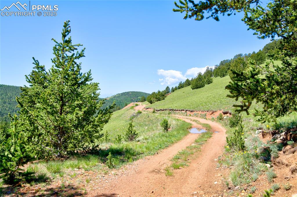 Image 13 of 31: View