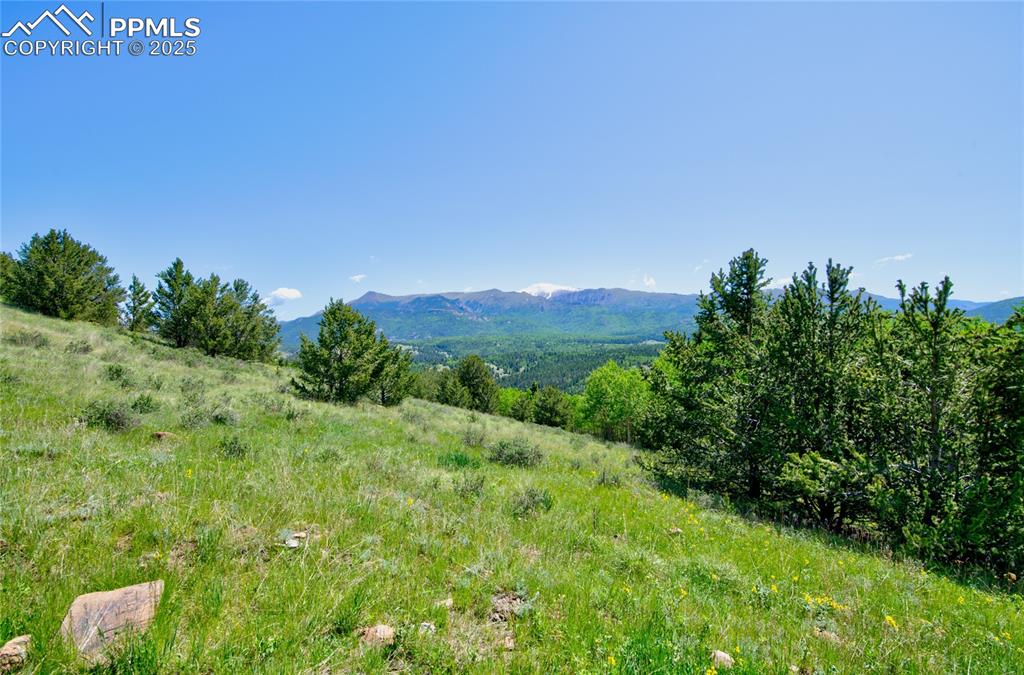 Image 14 of 31: View