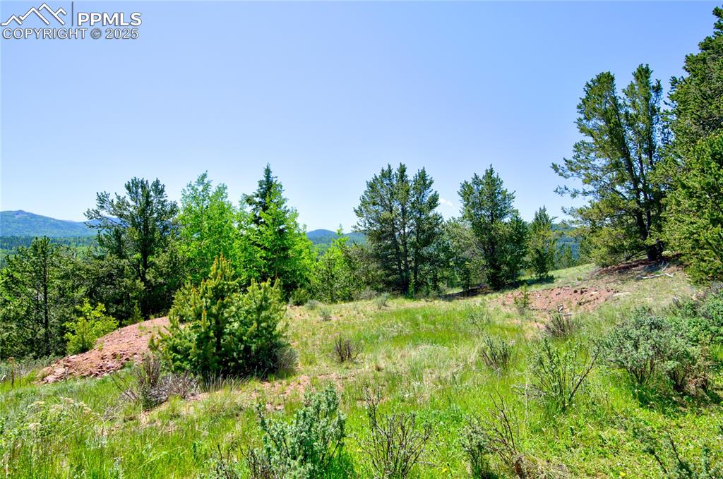 Image 15 of 31: Other