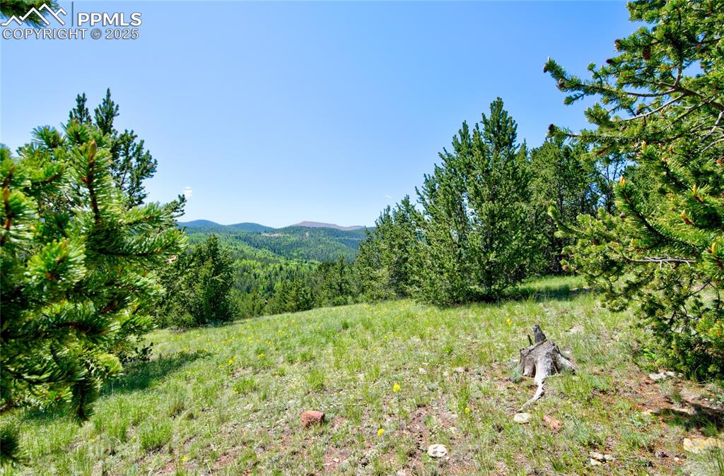 Image 16 of 31: View