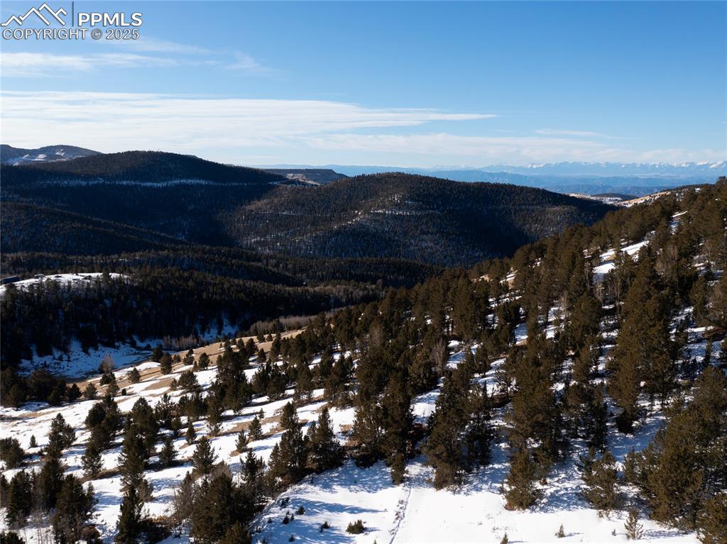 Image 19 of 31: View