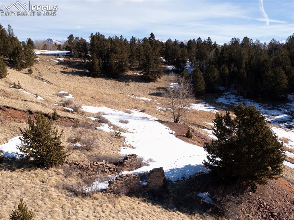 Image 21 of 31: View of possible cabin site