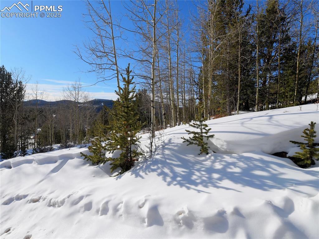 Image 23 of 31: Yard