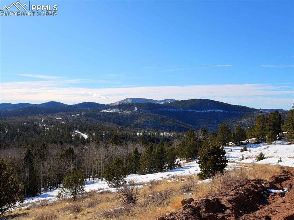 Image 24 of 31: View