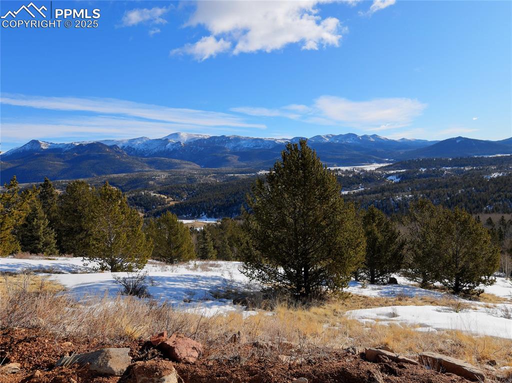 Image 25 of 31: View