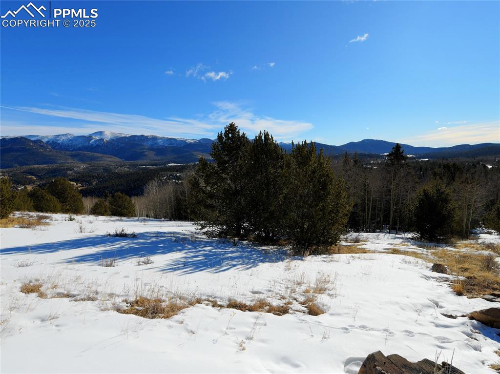 Image 26 of 31: View