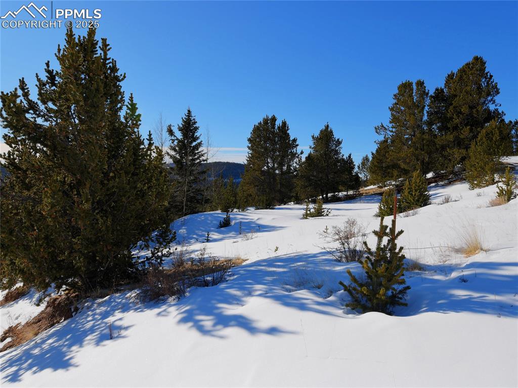 Image 27 of 31: Yard