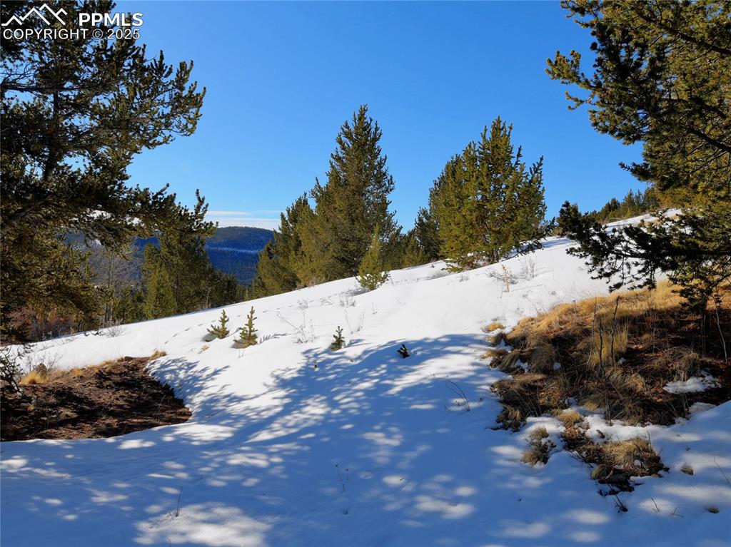 Image 28 of 31: Yard