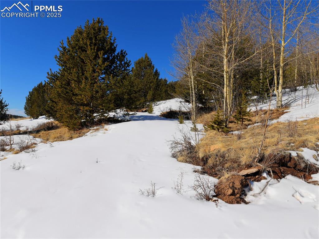 Image 30 of 31: Yard