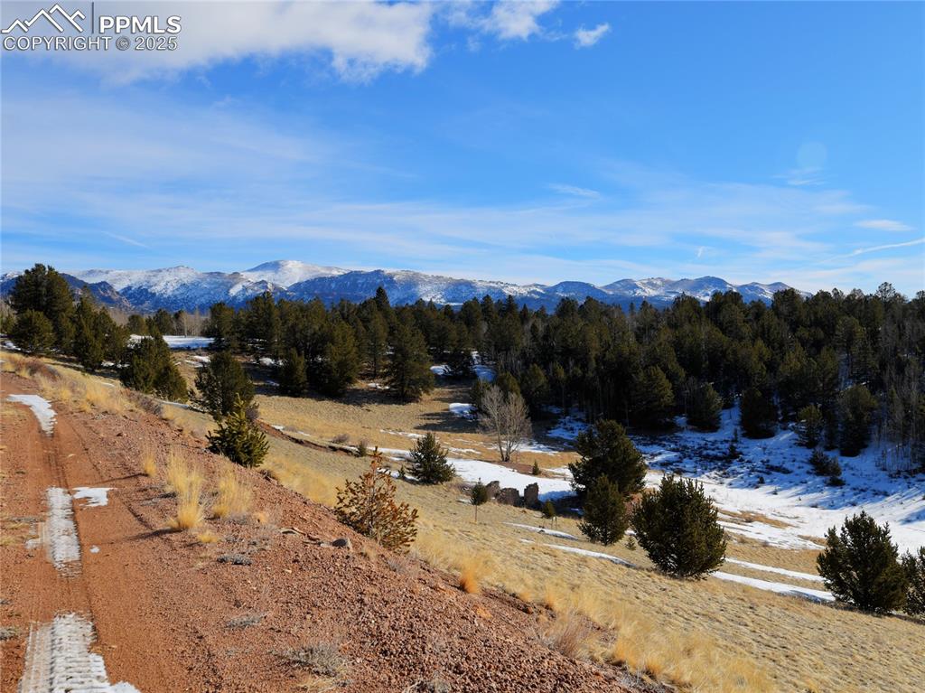 Image 31 of 31: Access road through property facing NE toward Pikes Peak.