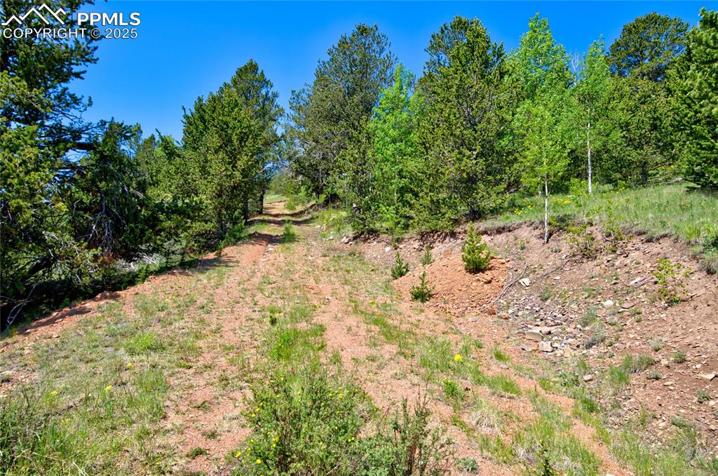 Image 6 of 31: Other