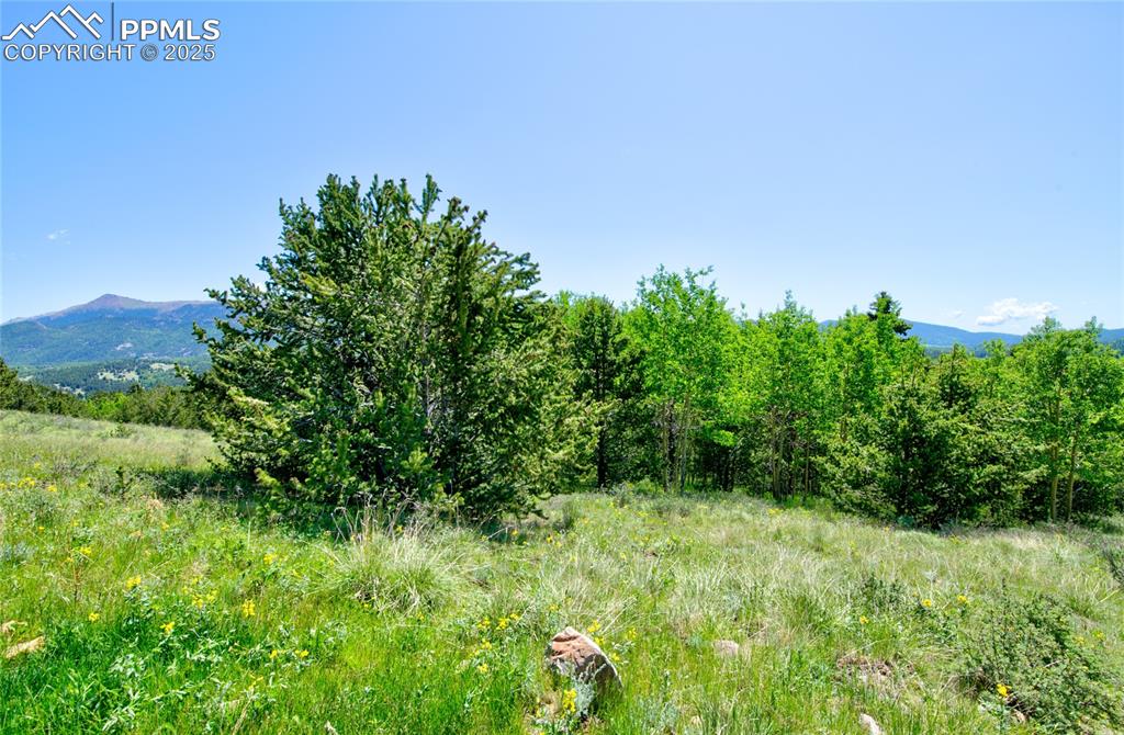 Image 8 of 31: Other