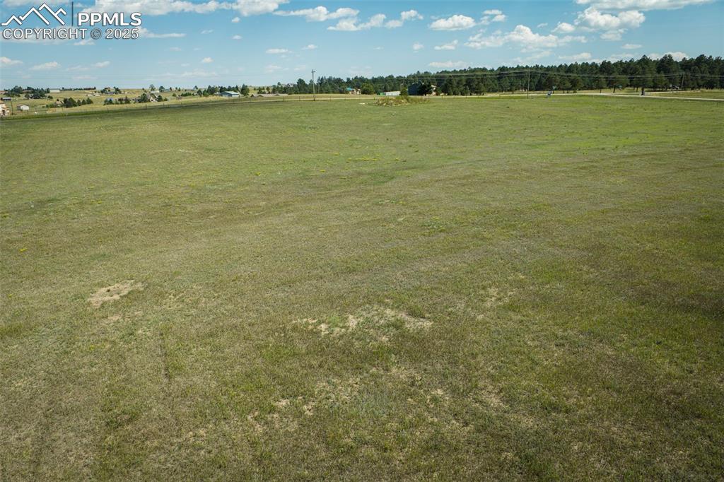 Image 12 of 14: Other