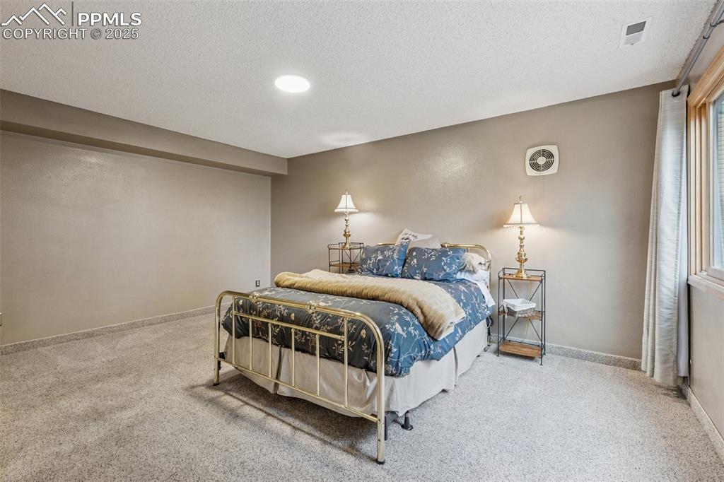 Image 29 of 50: 4th Bedroom Lower Level Bedroom with Walk Out to Back Yard