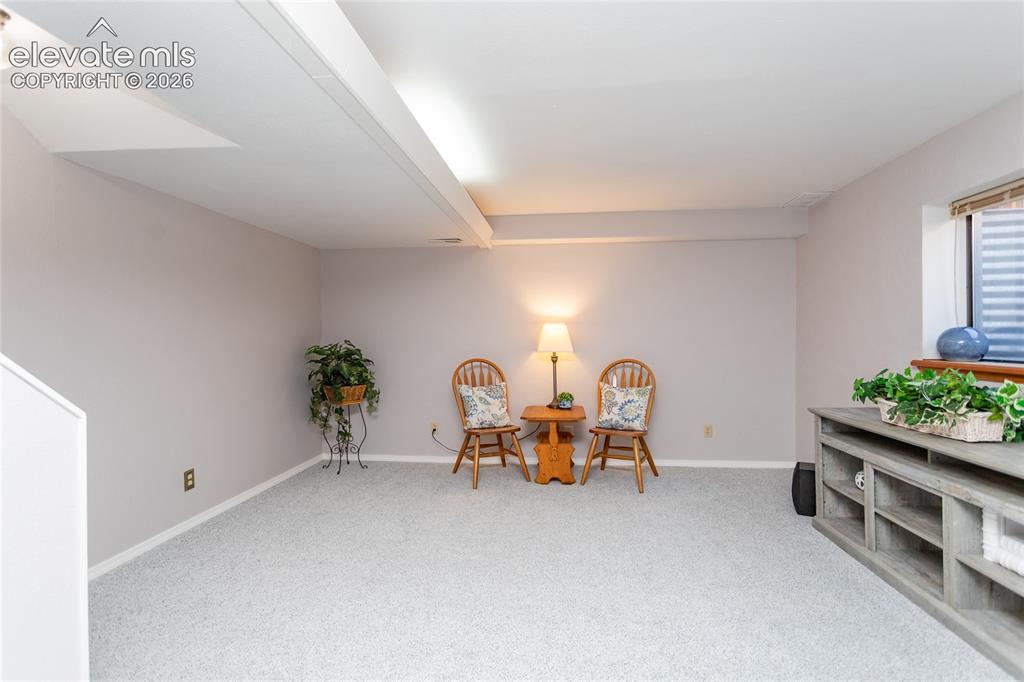 Image 29 of 48: Finished basement family room