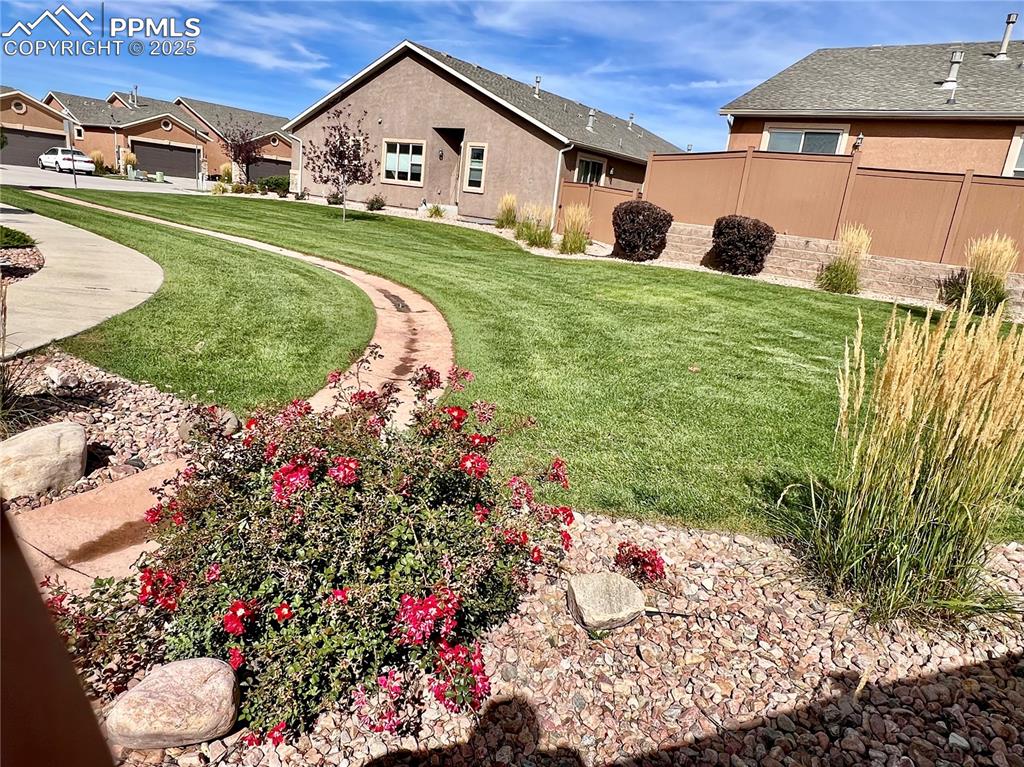 Image 44 of 44: Green Area