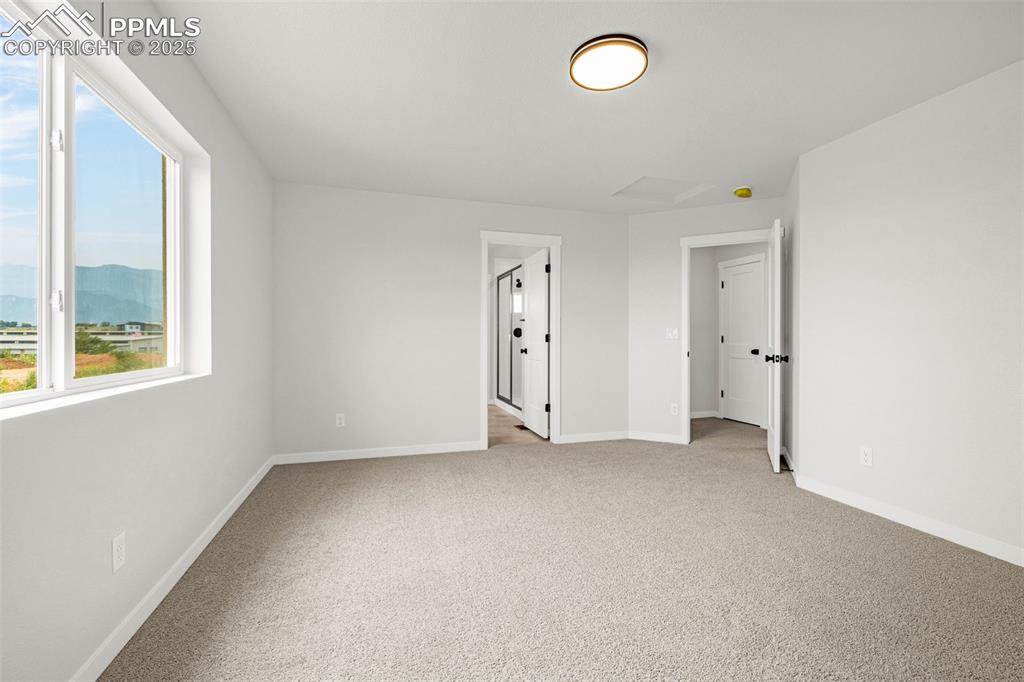 Image 19 of 37: Other