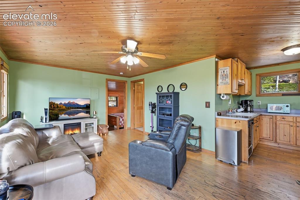 Image 4 of 22: Living Room