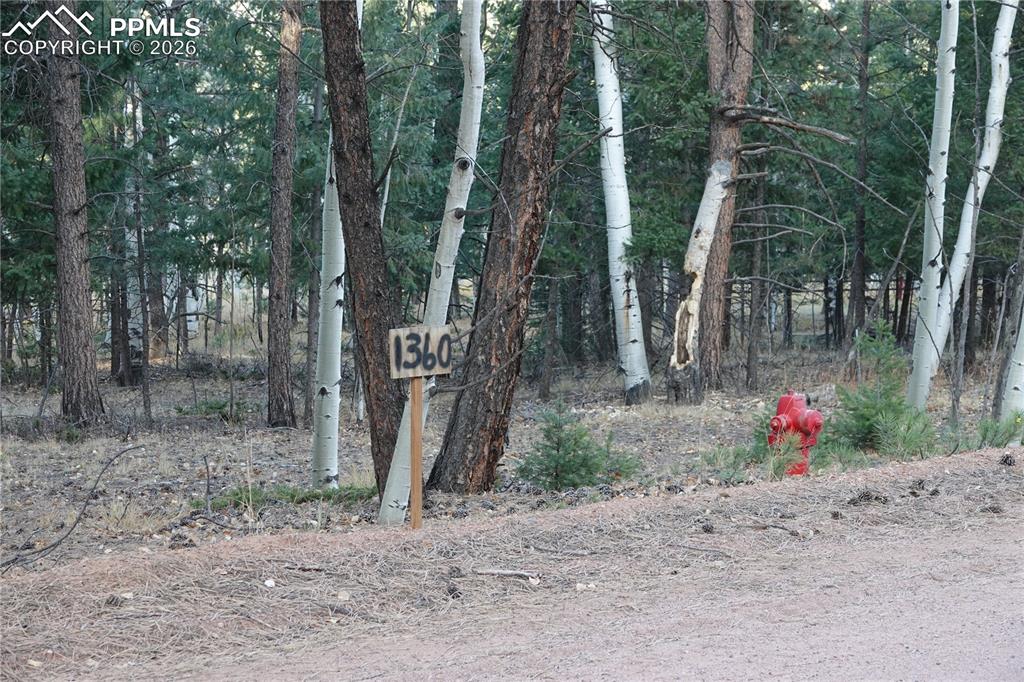 Image 5 of 6: Other