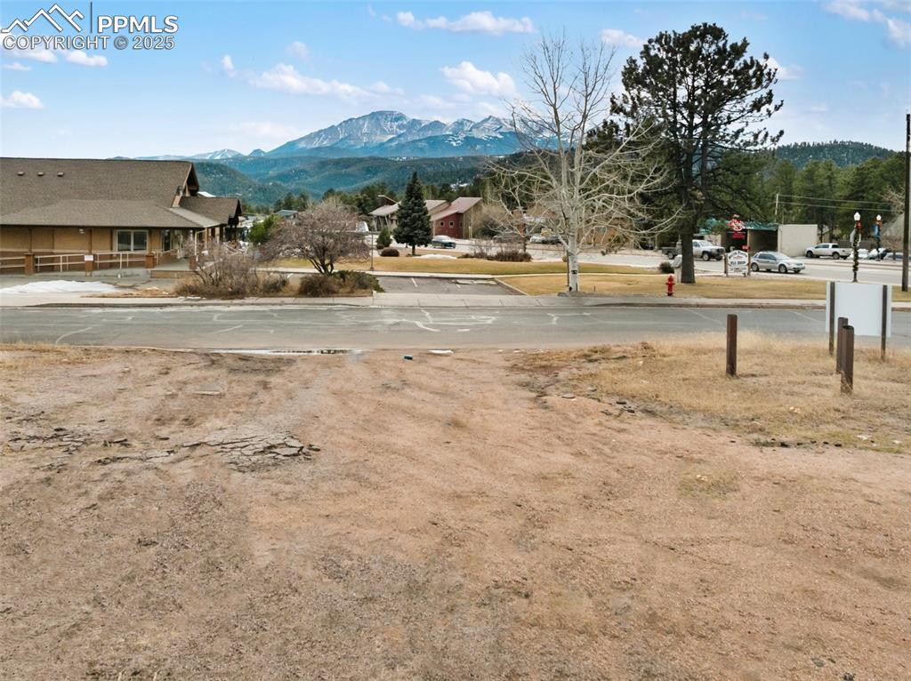 Image 10 of 20: Yard