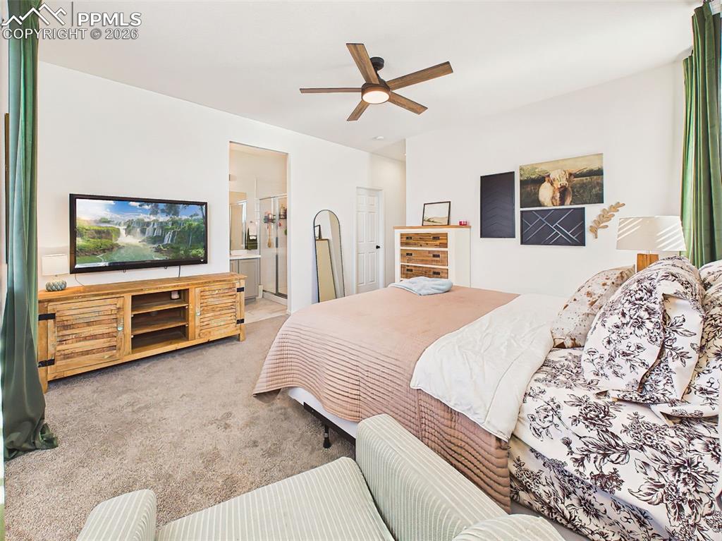 Image 26 of 50:  Primary Suite – Large primary bedroom with oversized windows, ceiling fan,