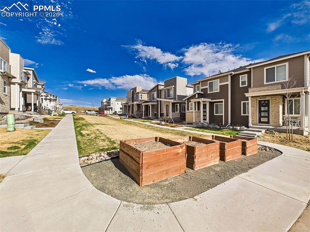 Image 46 of 50: Community Garden – Community garden beds and open green space provide added