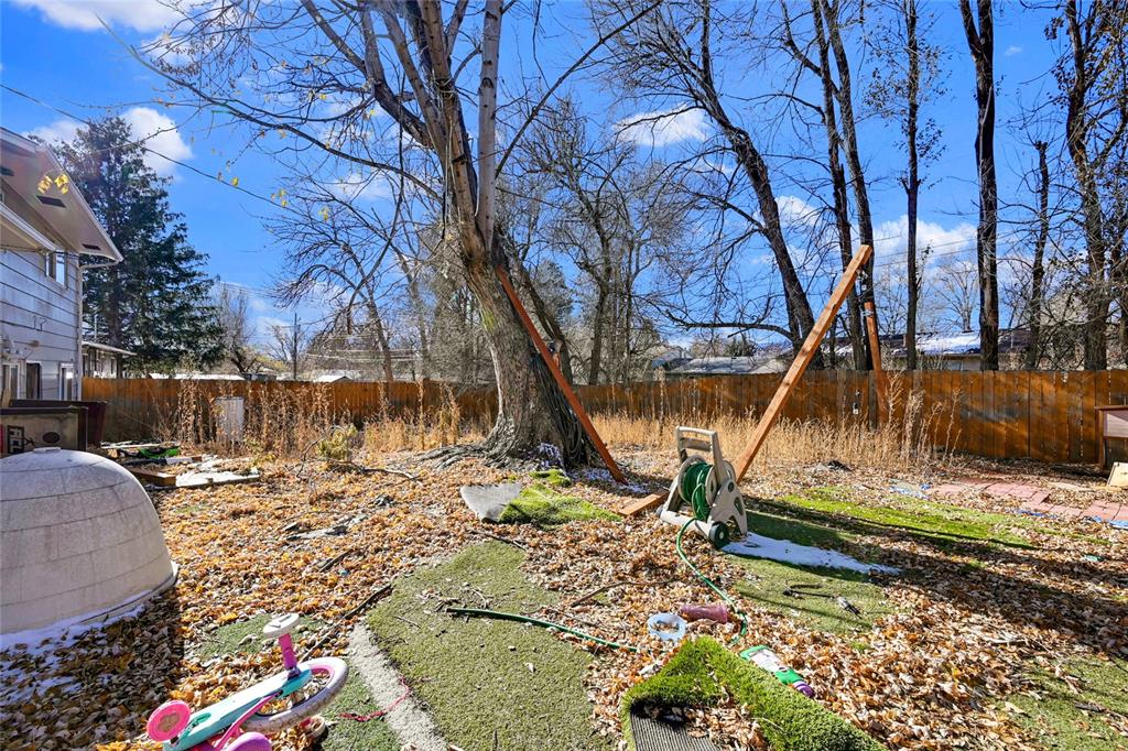 Image 24 of 24: Yard