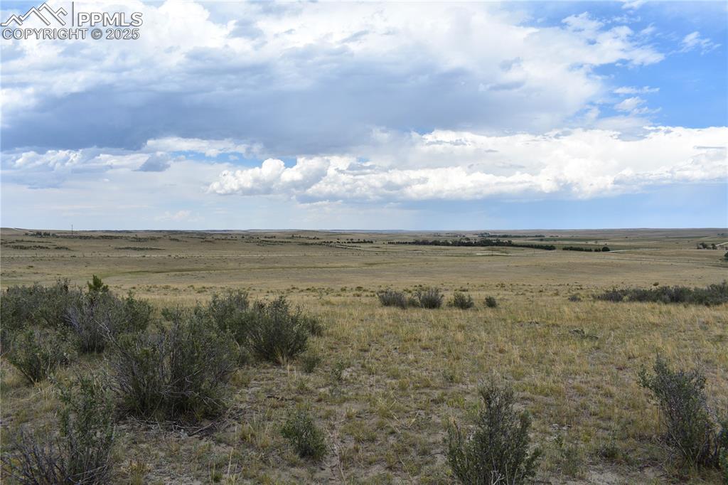 Image 10 of 17: Other