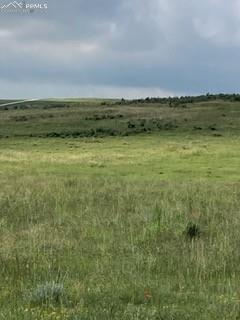 Image 2 of 17: Other
