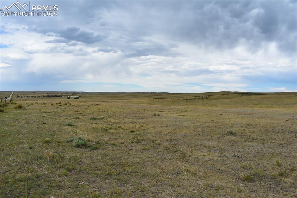 Image 7 of 17: Other