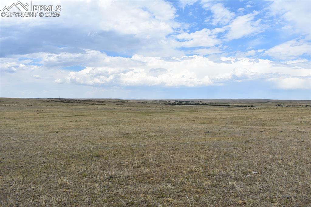 Image 8 of 17: Other